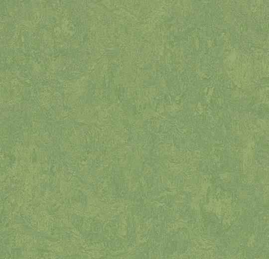 3260 leaf