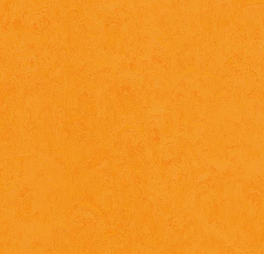 3262 marigold