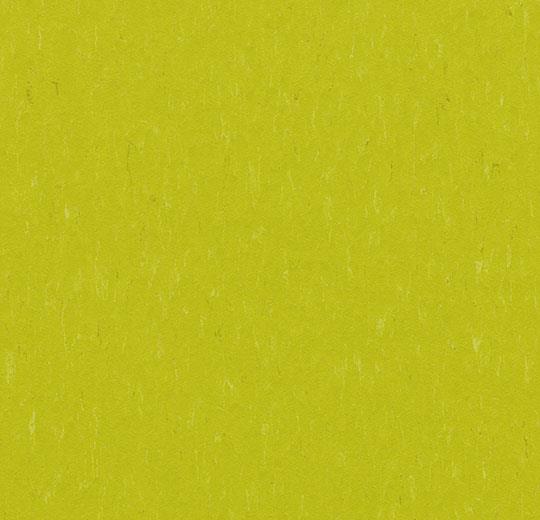 3646 young grass