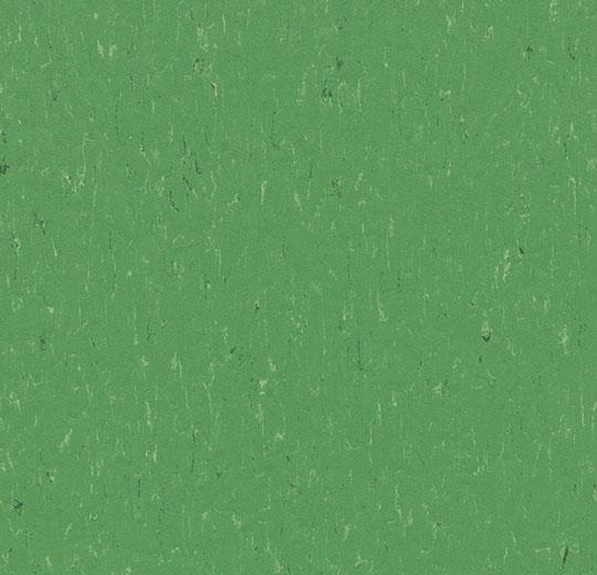 3647 nettle green