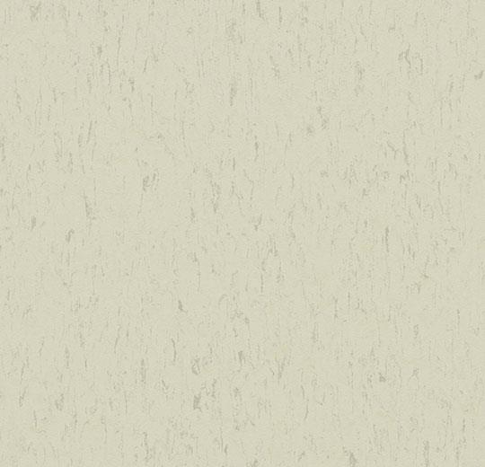 3650 polar bear