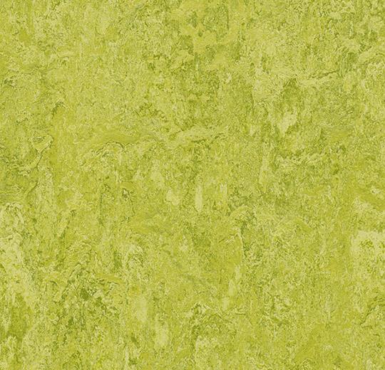 3224 chartreuse