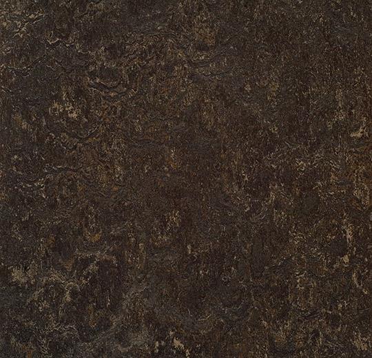 3236 dark bistre