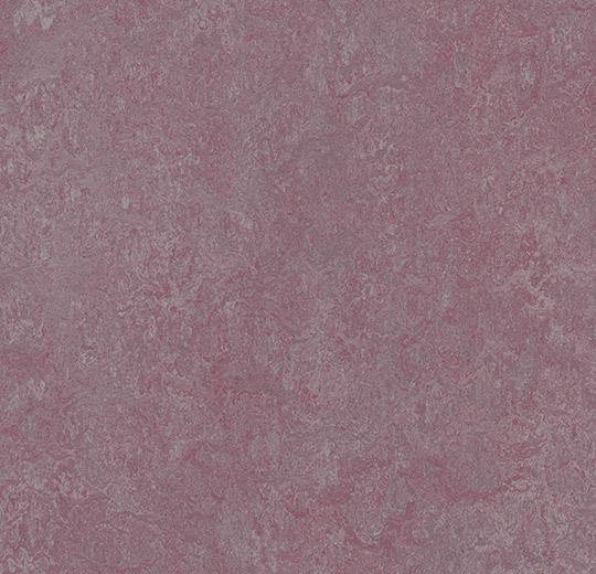 3272 plum