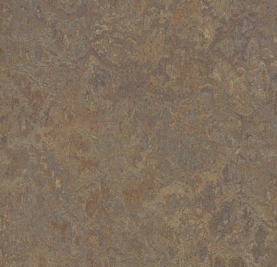 3426 cork tree