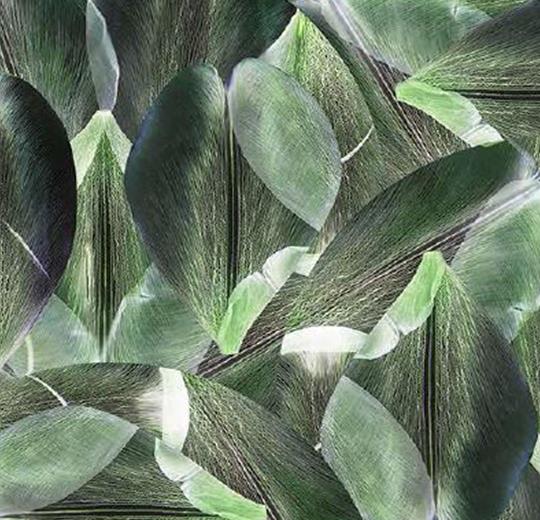 001589 Tulip Field Green