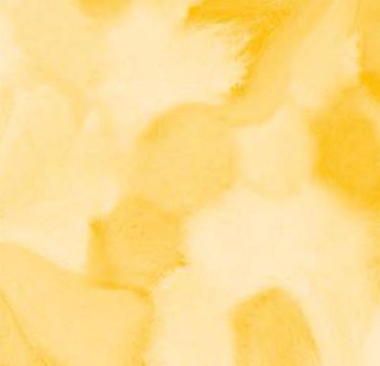 001596 Welcome to Jupiter Yellow