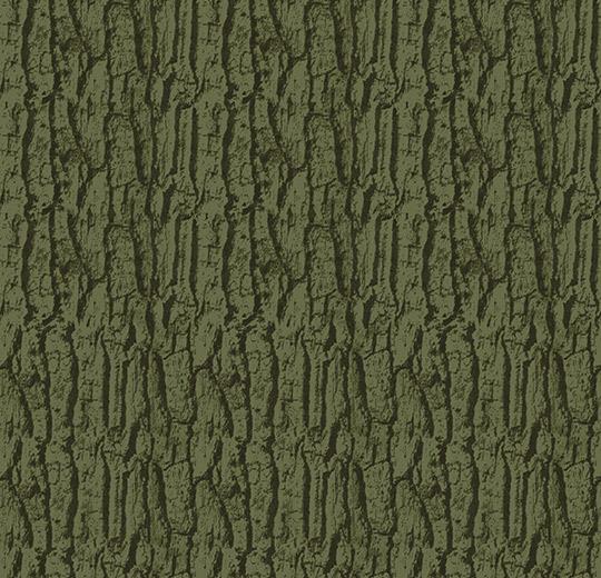 980603 Arbor moss