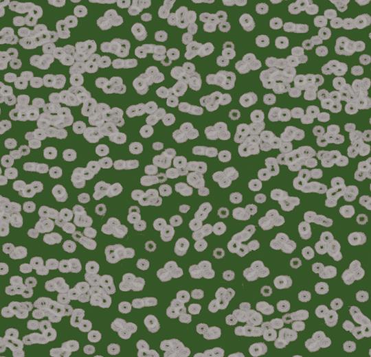 990403 Bacteria