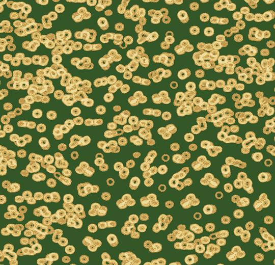 990502 Bacteria