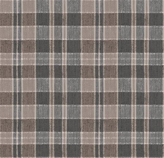 590003 Plaid Clay