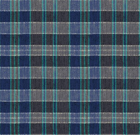 590009 Plaid Steel