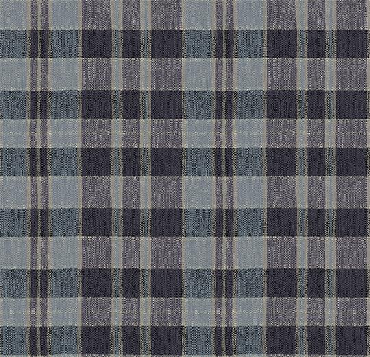 590014 Plaid Denim