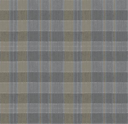 590018 Plaid Steam