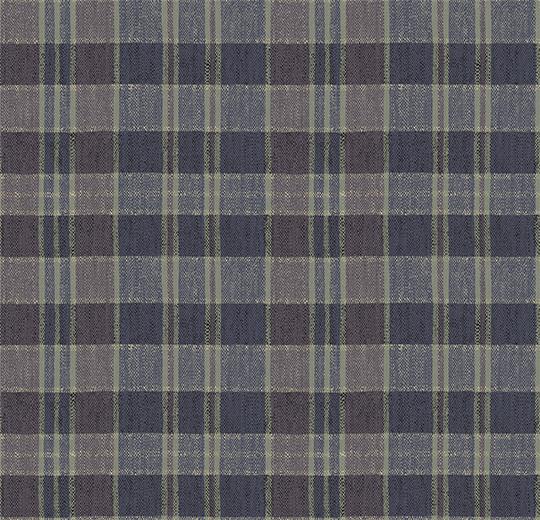 590021 Plaid Iris