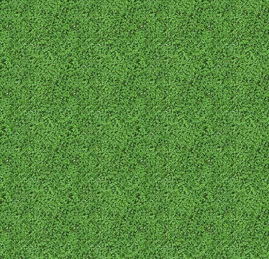 000430 shamrock
