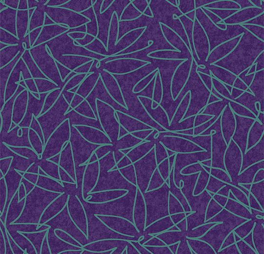 500017 Field Grape