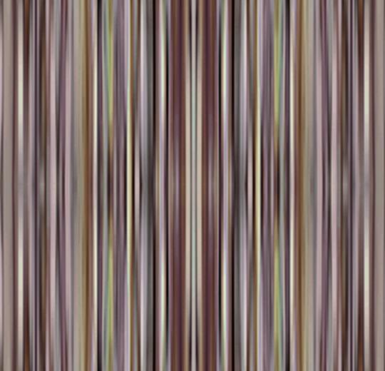 700003 Spectrum Nutmeg