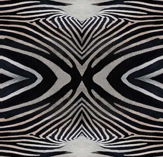 000402 zebra