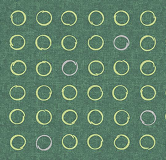 530027 Spin Tarragon
