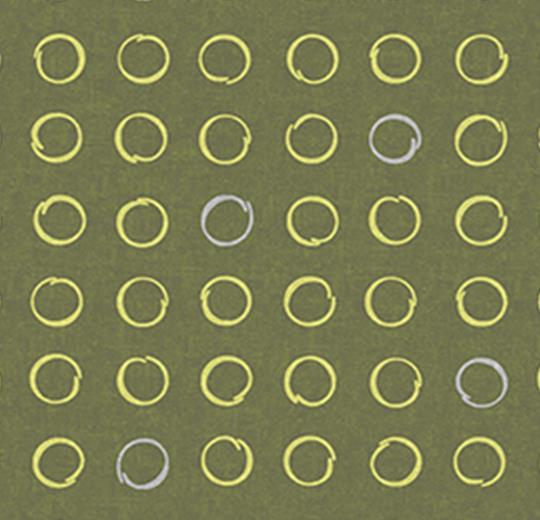 530028 Spin Lichen