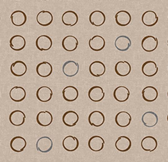 530035 Spin Biscotti