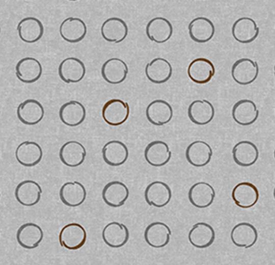 530036 Spin Latte