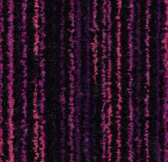 3219 colour purple