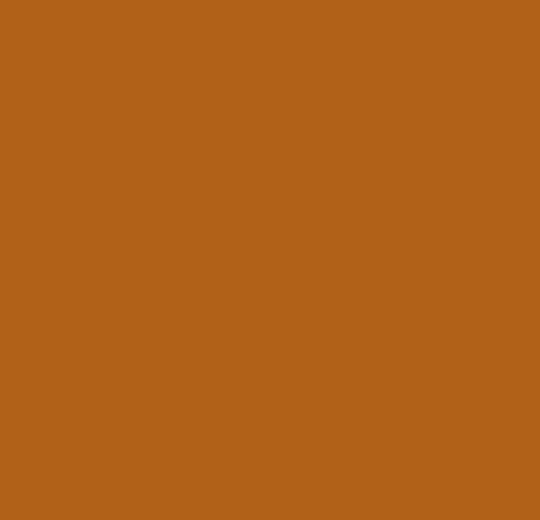 RAL 0605060