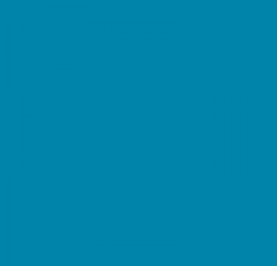 RAL 2305040