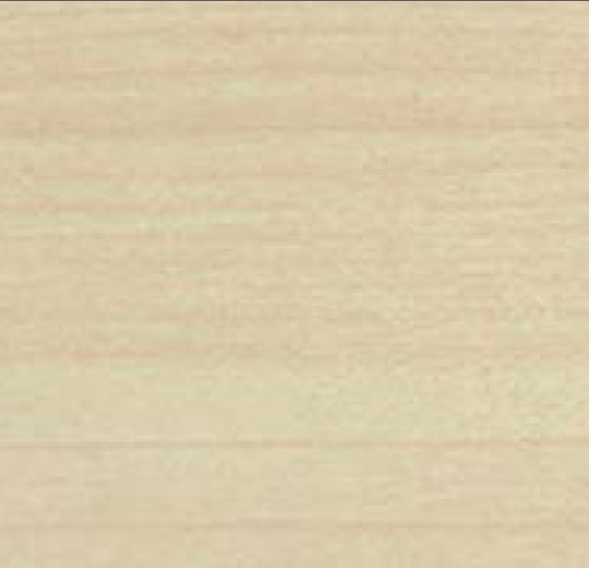 Maple (шпон)