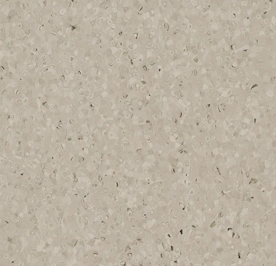50525 canvas