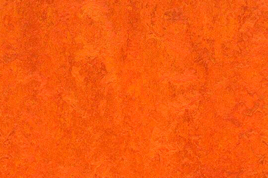 Натуральний лінолеум Forbo Marmoleum Fresco (рулон)