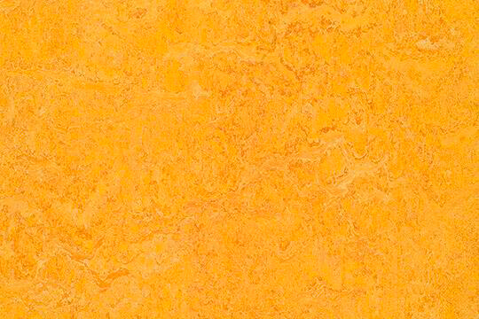 Натуральний лінолеум Forbo Marmoleum Real (рулон)