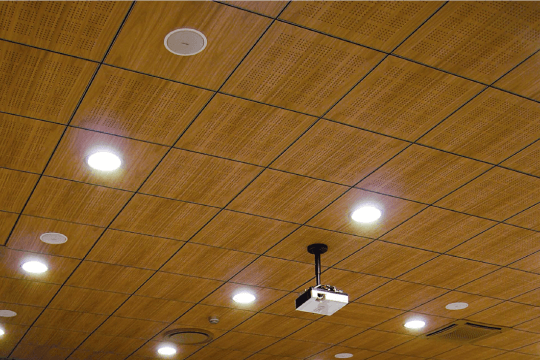Ceiling tiles CBI Europe WOOD Expo 100 System (Melamine, Real veneer)